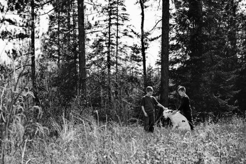 Adiós para siempre: el fotógrafo captura el último momento de amor entre el dueño y el perro antes de la eutanasia Adiós para siempre: el fotógrafo captura el último momento de amor entre el dueño y el perro antes de la eutanasia