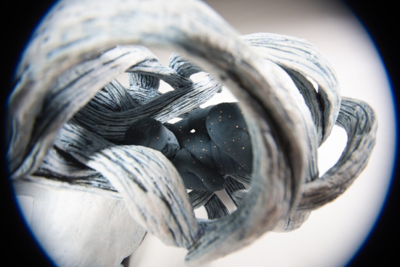 Adrian Arleo and her poetic ceramics that combine man and nature Adrian Arleo and her poetic ceramics that combine man and nature