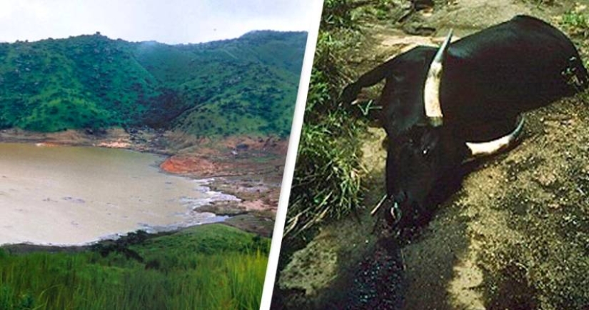 African killer pond: Lake Nyos cuenta con 1.800 víctimas humanas