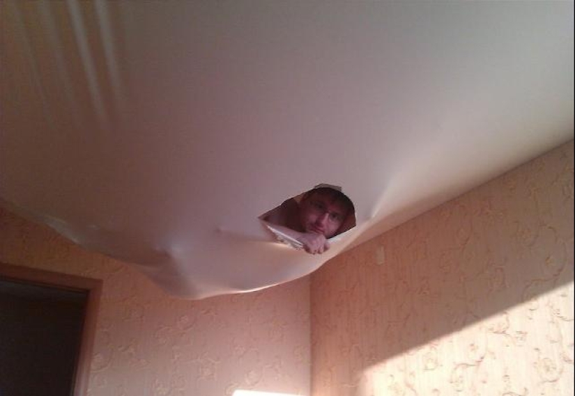 Again filled neighbors? Epic photos that will make you think about moving to a private house Again filled neighbors? Epic photos that will make you think about moving to a private house