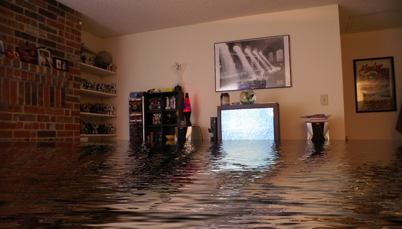 Again filled neighbors? Epic photos that will make you think about moving to a private house Again filled neighbors? Epic photos that will make you think about moving to a private house