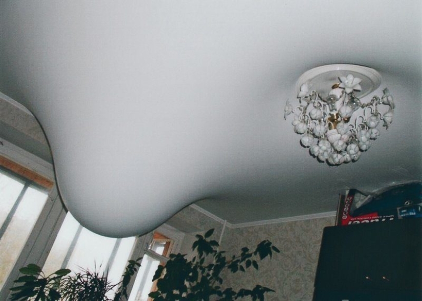 Again filled neighbors? Epic photos that will make you think about moving to a private house Again filled neighbors? Epic photos that will make you think about moving to a private house