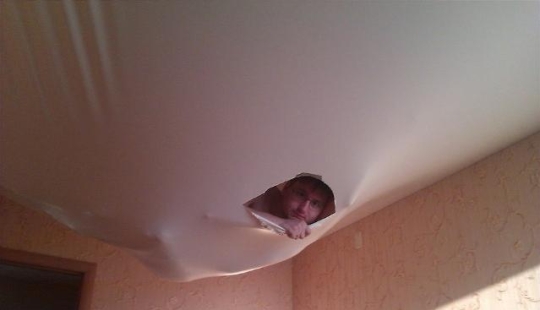 Again filled neighbors? Epic photos that will make you think about moving to a private house