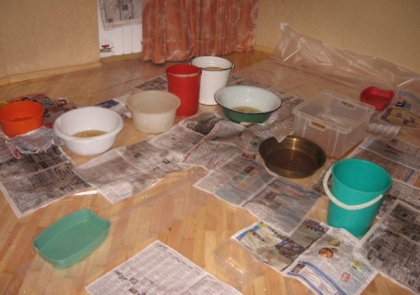 Again filled neighbors? Epic photos that will make you think about moving to a private house Again filled neighbors? Epic photos that will make you think about moving to a private house