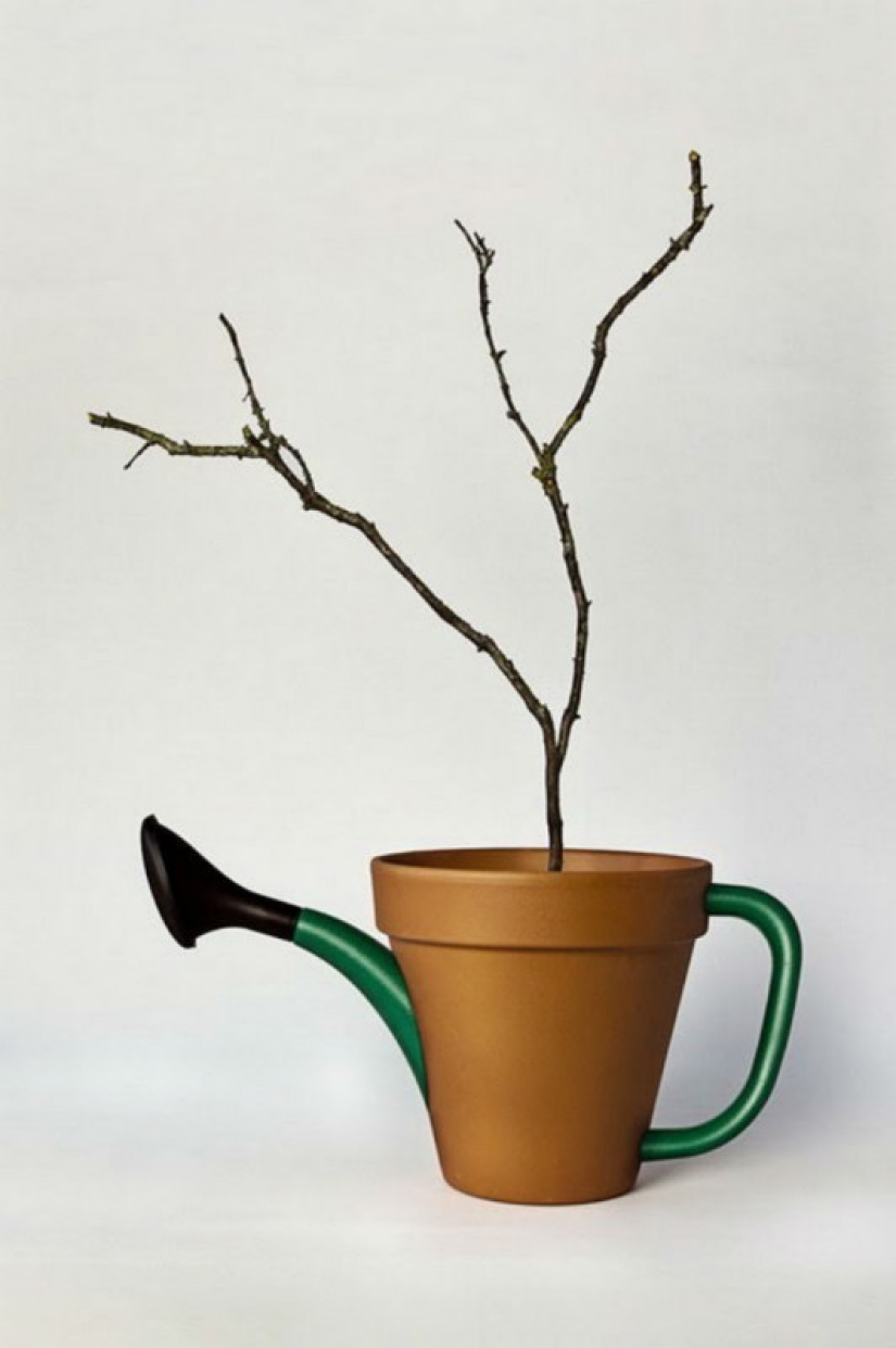 Against common sense Against common sense