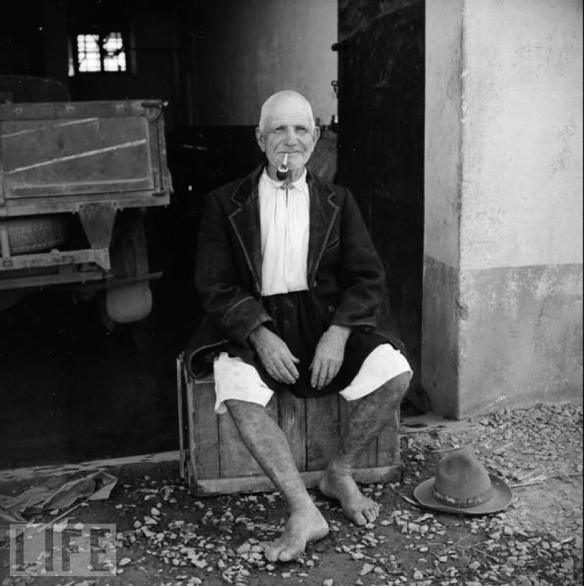 Algunos consejos sobre cómo convertirse en un centenario Algunos consejos sobre cómo convertirse en un centenario