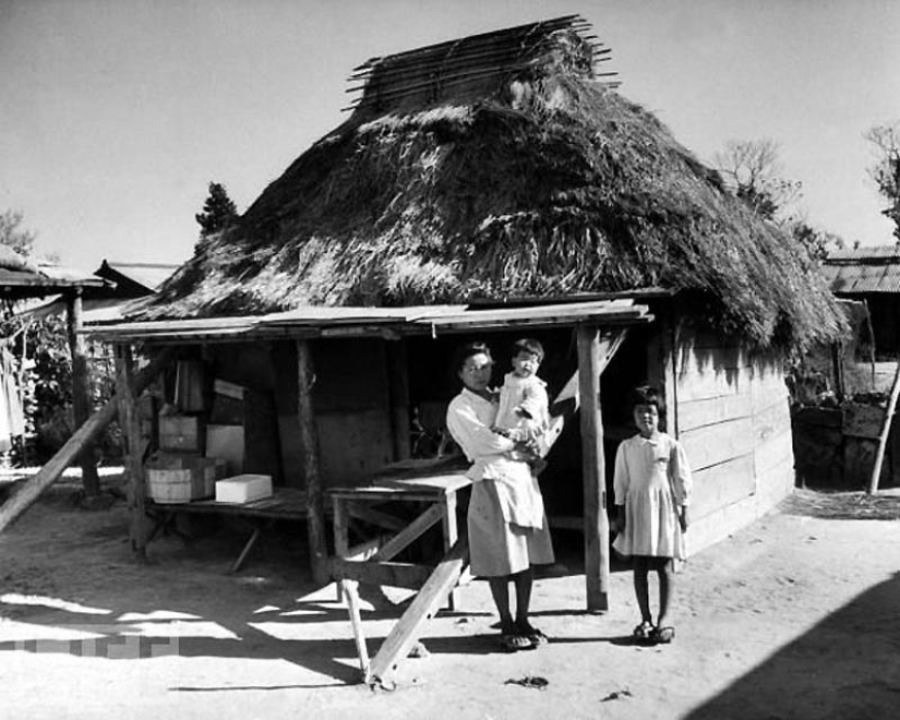 Algunos consejos sobre cómo convertirse en un centenario Algunos consejos sobre cómo convertirse en un centenario