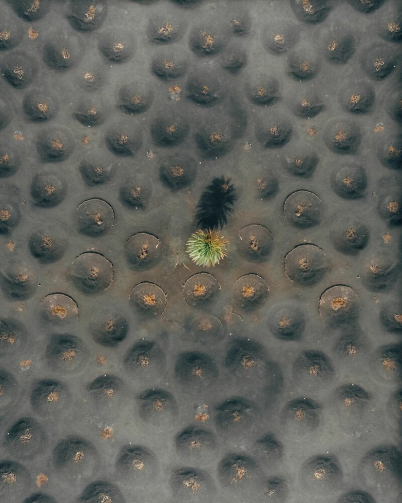 Alien paisajes de Lanzarote