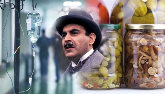 Almost a detective story, or How humanity became acquainted with botulism