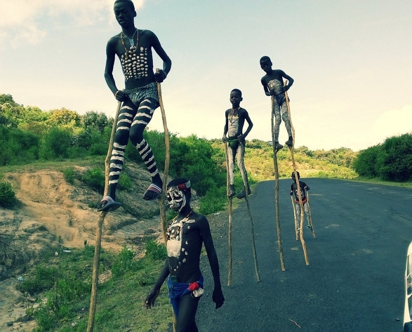 Always on top: why Banna men prefer to walk on stilts