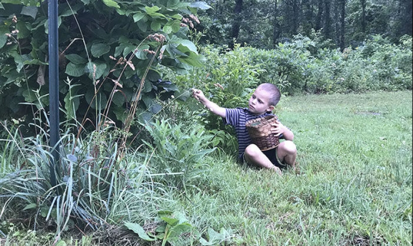 Amateur vs photographer: how the same place is transformed in the works of a professional