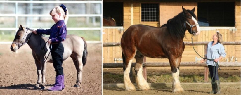 Amazing Nature Games - Big and Small