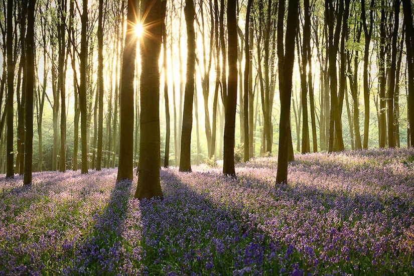 Amazing Nature Photography by Landscape Photographer James Appleton Amazing Nature Photography by Landscape Photographer James Appleton