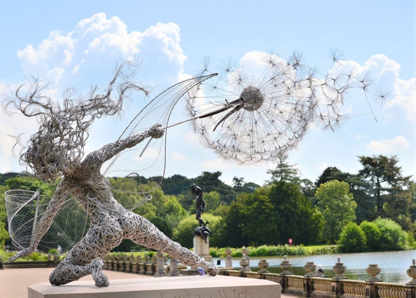 Amazing steel wire sculptures