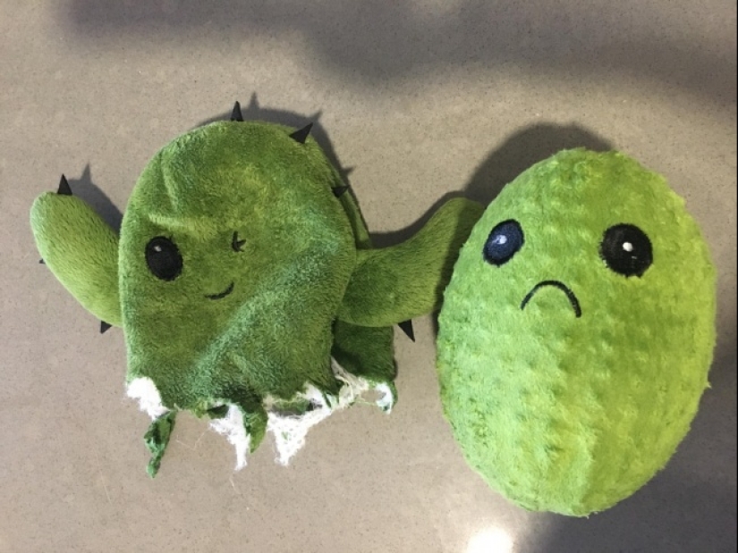 Amazing surprises hidden inside everyday things Amazing surprises hidden inside everyday things