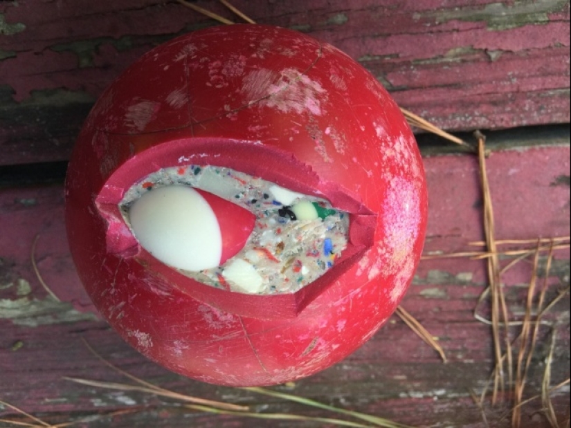 Amazing surprises hidden inside everyday things Amazing surprises hidden inside everyday things