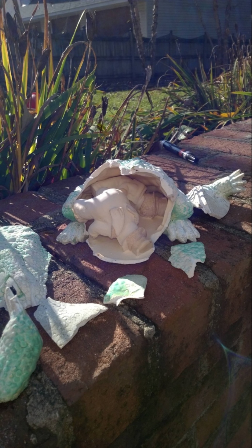 Amazing surprises hidden inside everyday things Amazing surprises hidden inside everyday things