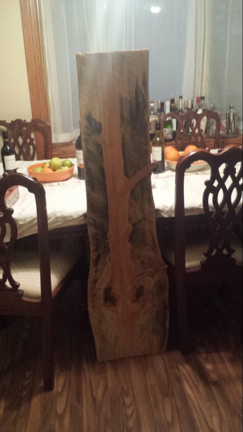 Amazing surprises hidden inside everyday things Amazing surprises hidden inside everyday things