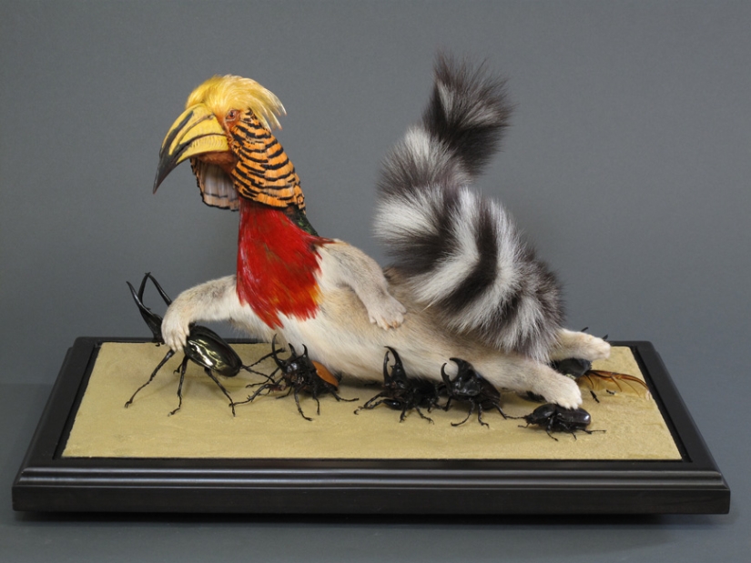 Amazing taxidermy by Enrique Gomez de Molina Amazing taxidermy by Enrique Gomez de Molina