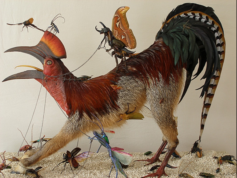 Amazing taxidermy by Enrique Gomez de Molina