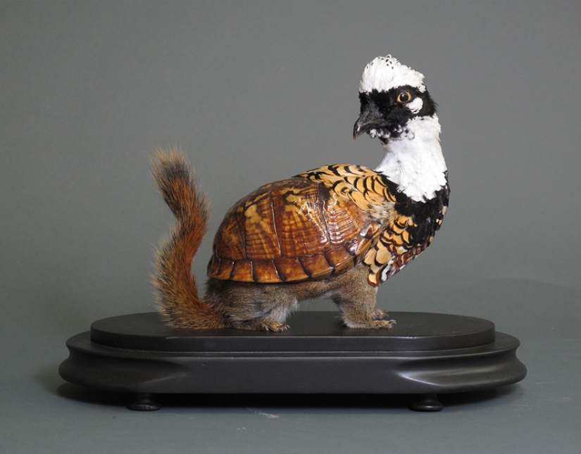 Amazing taxidermy by Enrique Gomez de Molina Amazing taxidermy by Enrique Gomez de Molina