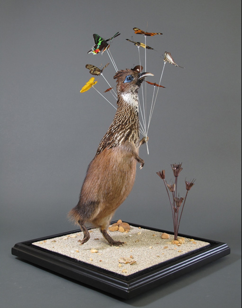 Amazing taxidermy by Enrique Gomez de Molina Amazing taxidermy by Enrique Gomez de Molina