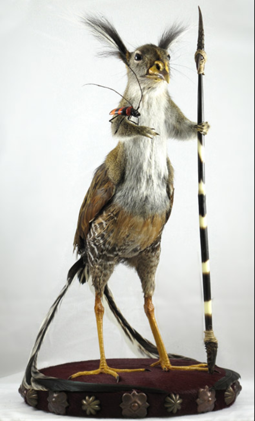 Amazing taxidermy by Enrique Gomez de Molina Amazing taxidermy by Enrique Gomez de Molina