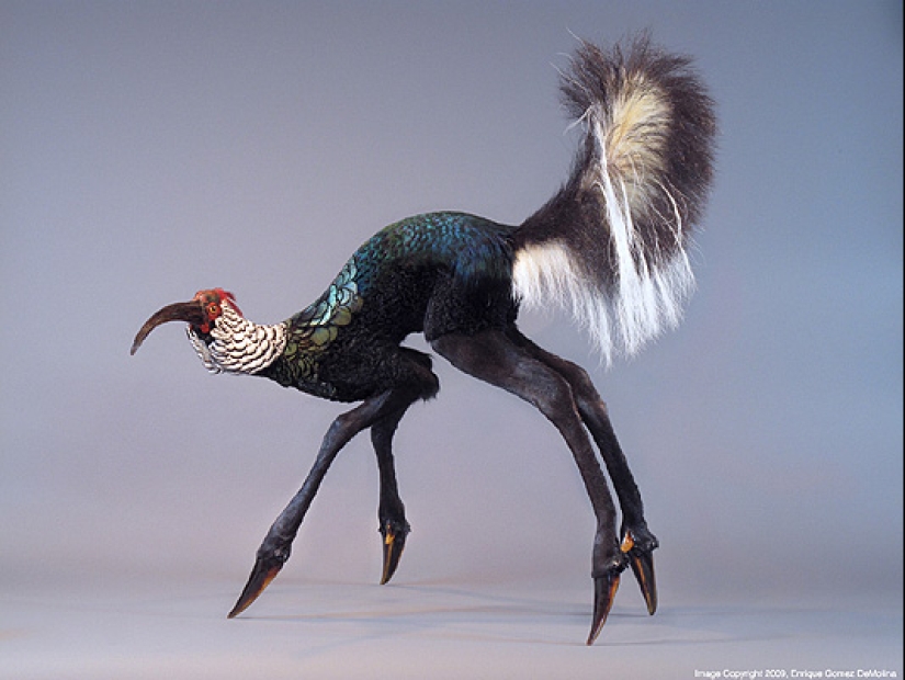 Amazing taxidermy by Enrique Gomez de Molina Amazing taxidermy by Enrique Gomez de Molina