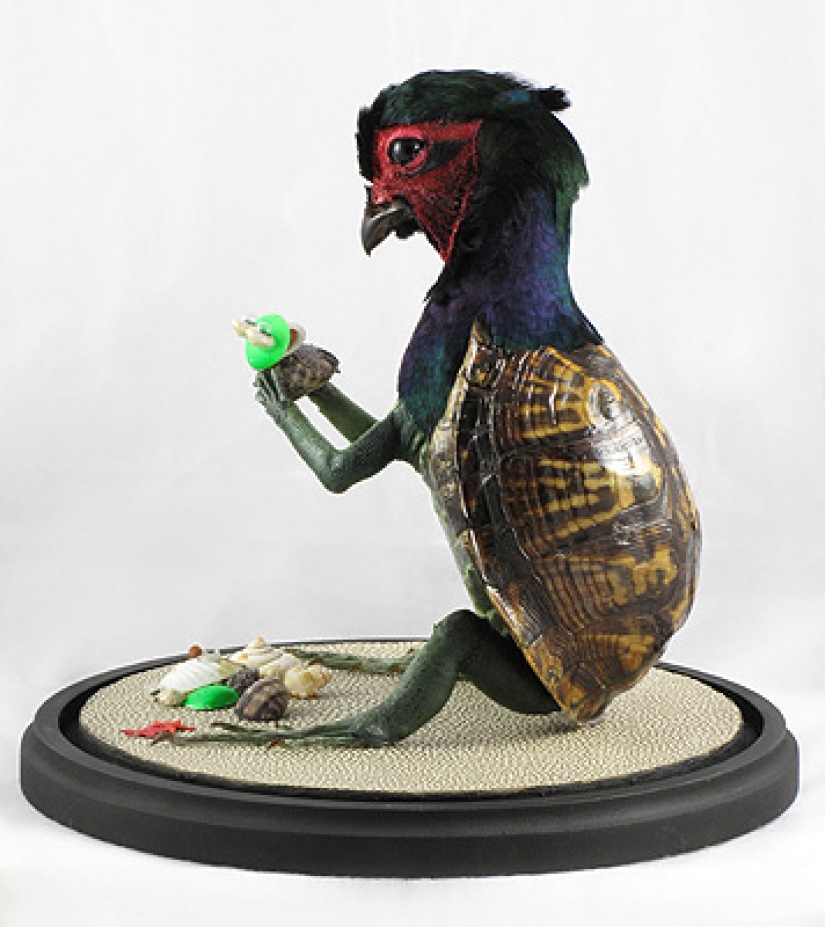 Amazing taxidermy by Enrique Gomez de Molina