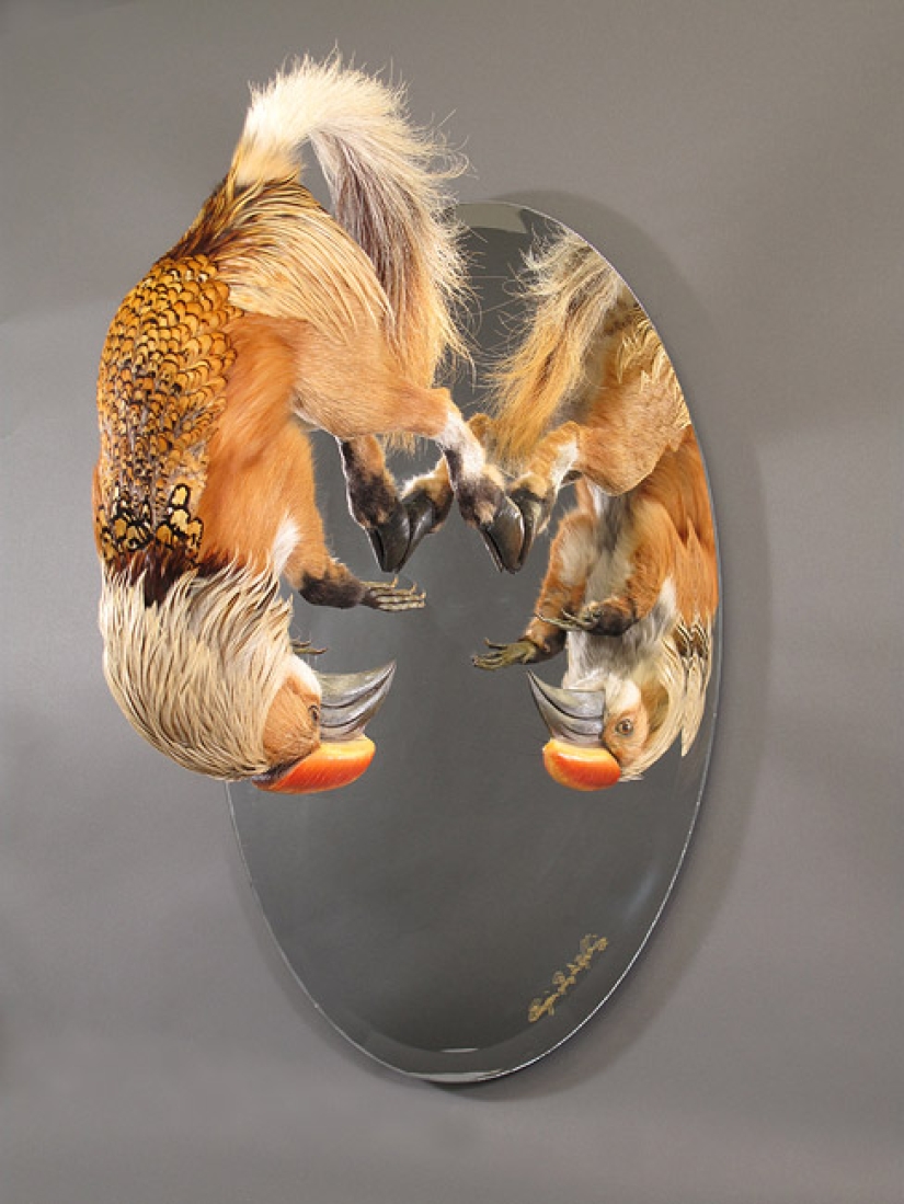 Amazing taxidermy by Enrique Gomez de Molina
