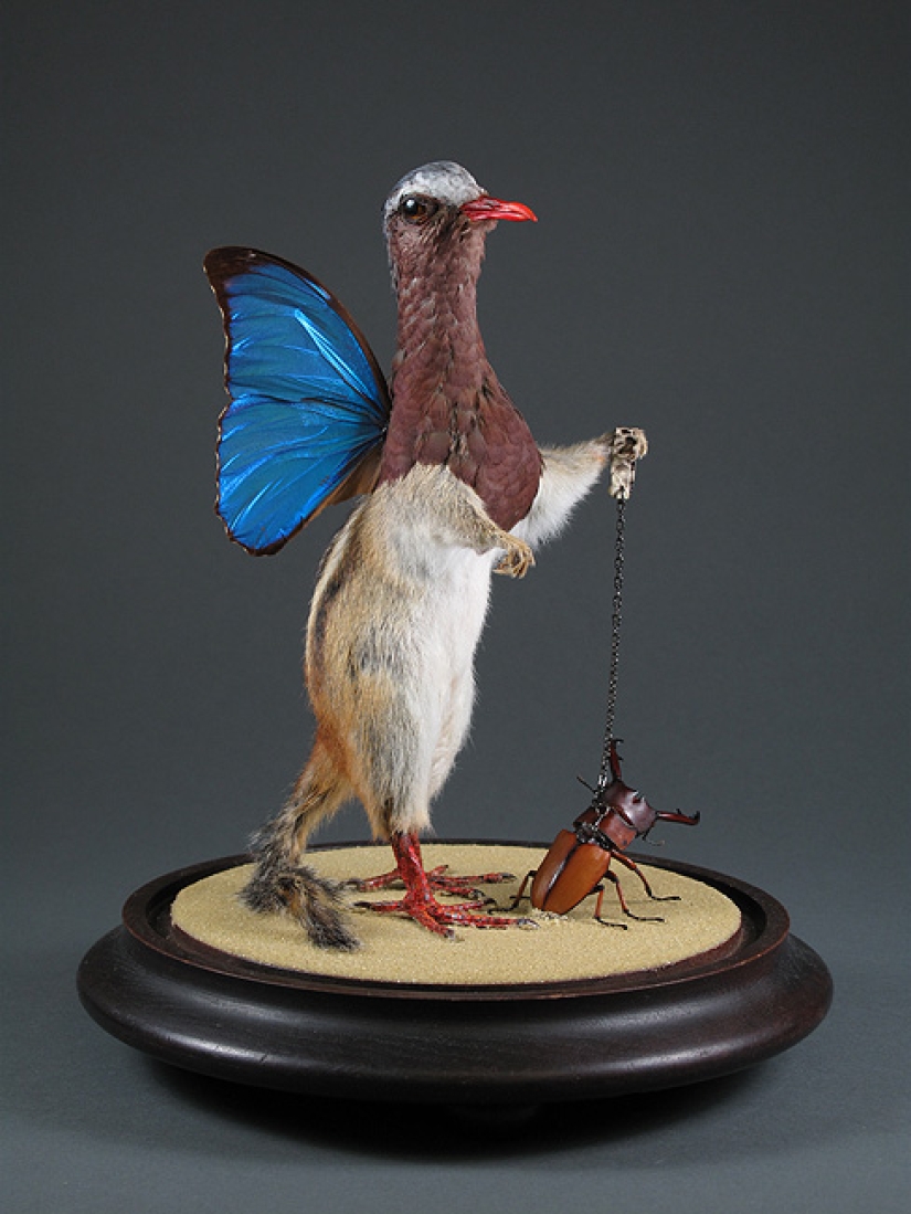 Amazing taxidermy by Enrique Gomez de Molina