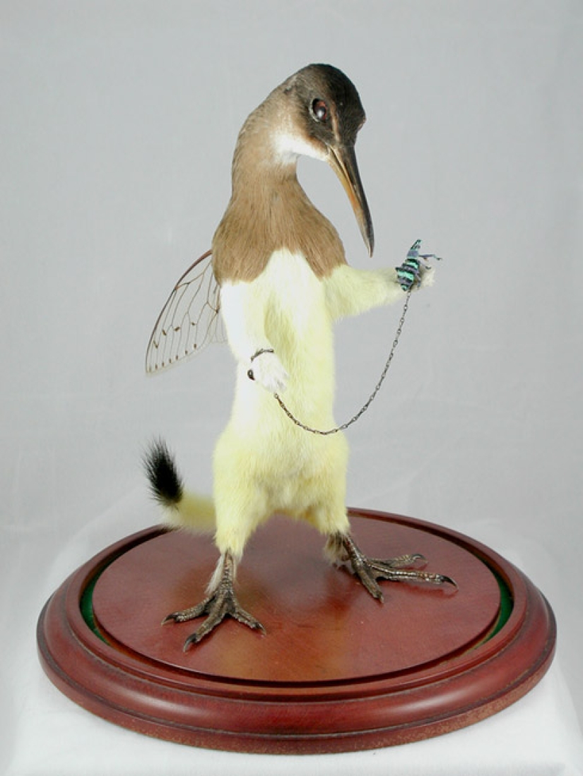 Amazing taxidermy by Enrique Gomez de Molina