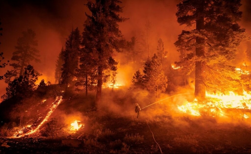 "Amor + Guerra" de la fotógrafa Lynsey Addario: Una historia sobre vivir y trabajar junto a la muerte