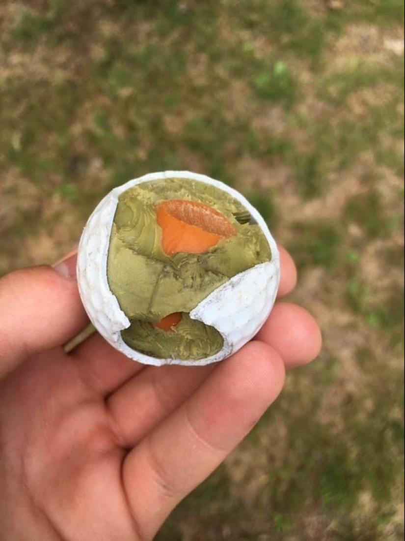 An inside look: 15 photos that show how it works An inside look: 15 photos that show how it works