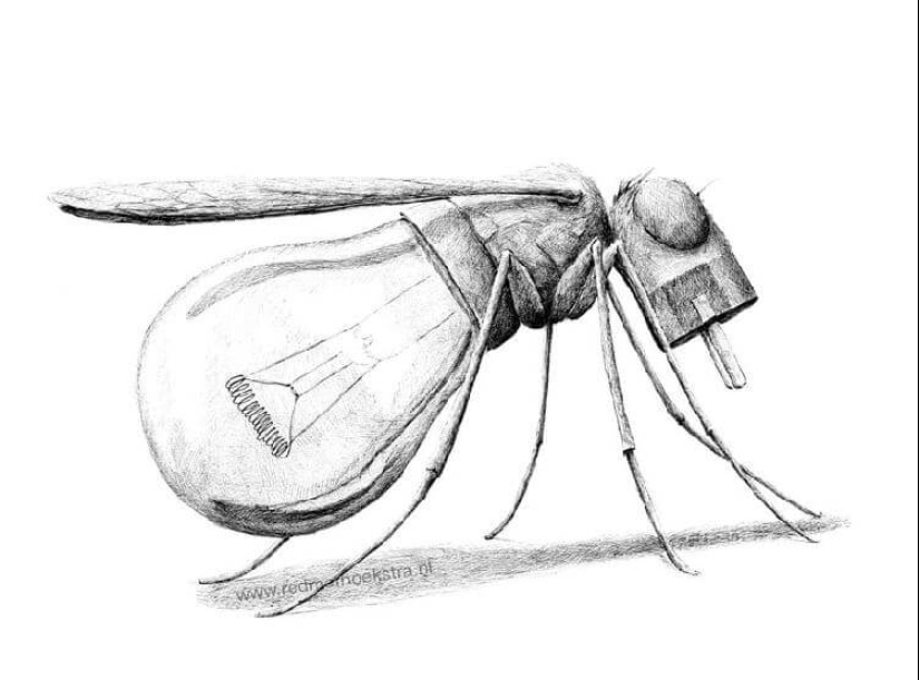 An unusual look at ordinary things from the artist Redmer Hoekstra An unusual look at ordinary things from the artist Redmer Hoekstra