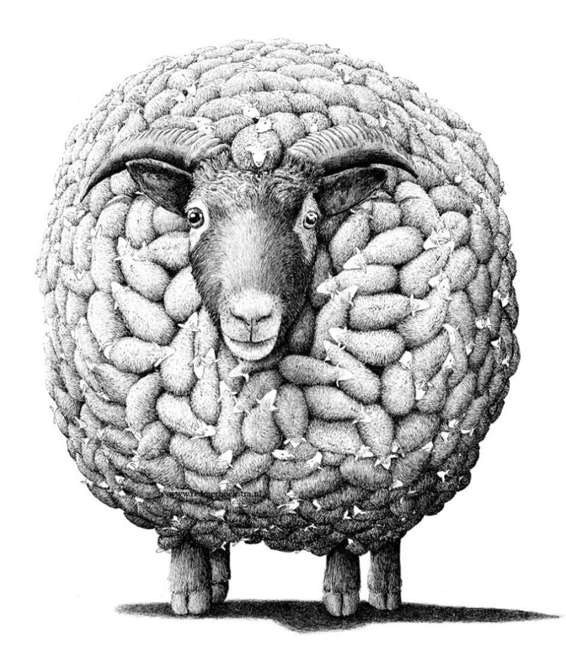 An unusual look at ordinary things from the artist Redmer Hoekstra An unusual look at ordinary things from the artist Redmer Hoekstra