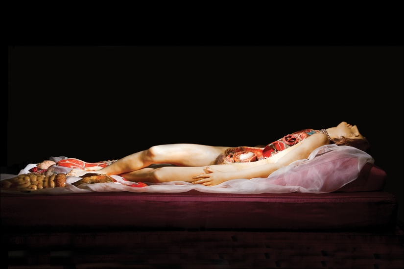 Anatomical Venus, on whom pathologists of the XVIII century studied Anatomical Venus, on whom pathologists of the XVIII century studied