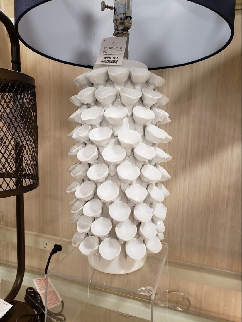 And how to clean it at all? 30 examples of impractical design of things-dust collectors