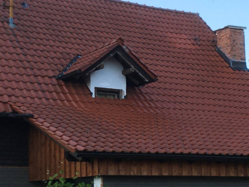 And so it will do! 22 photos of what happens when the head is not friends with the hands And so it will do! 22 photos of what happens when the head is not friends with the hands