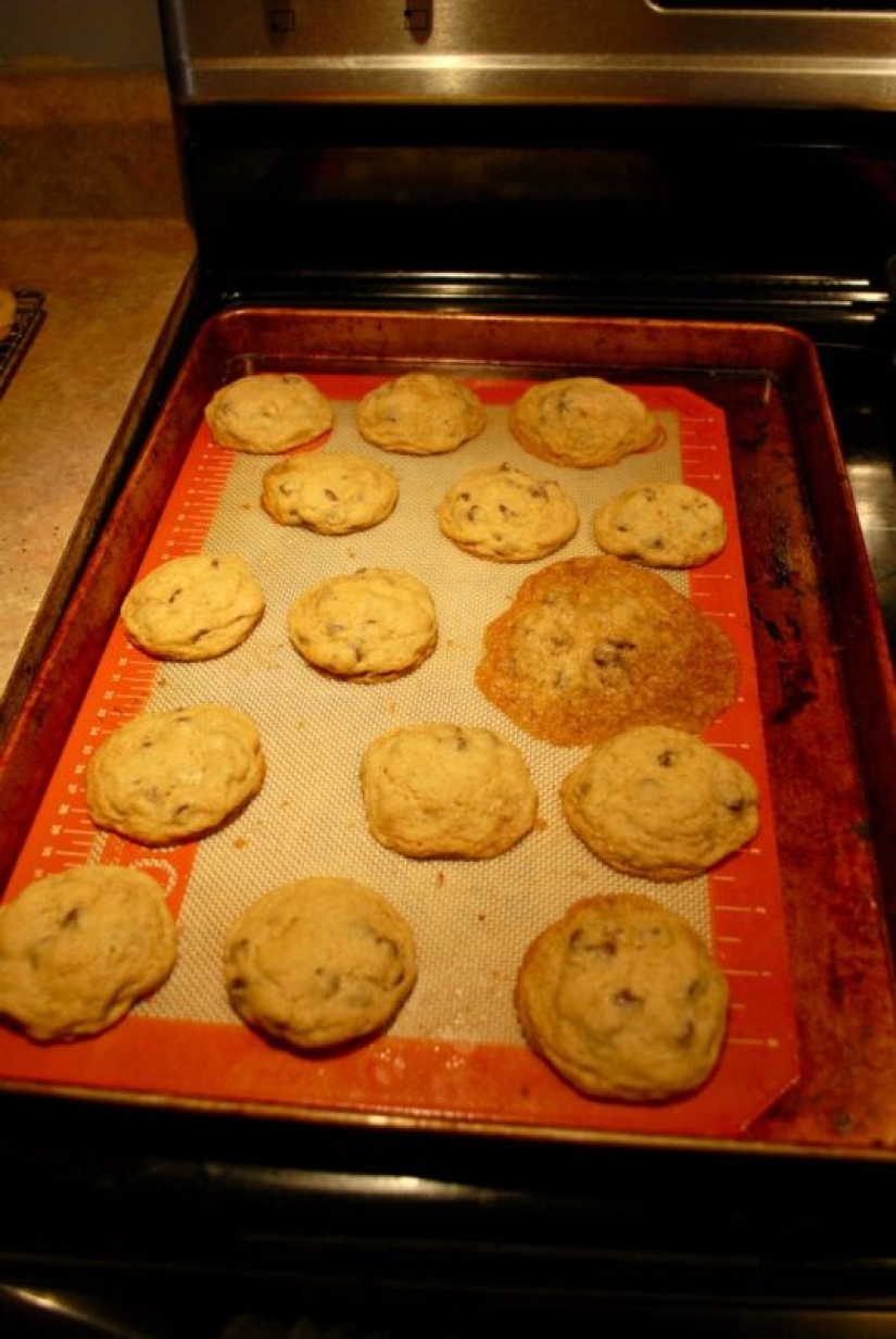 And so it will do! 22 photos of what happens when the head is not friends with the hands And so it will do! 22 photos of what happens when the head is not friends with the hands