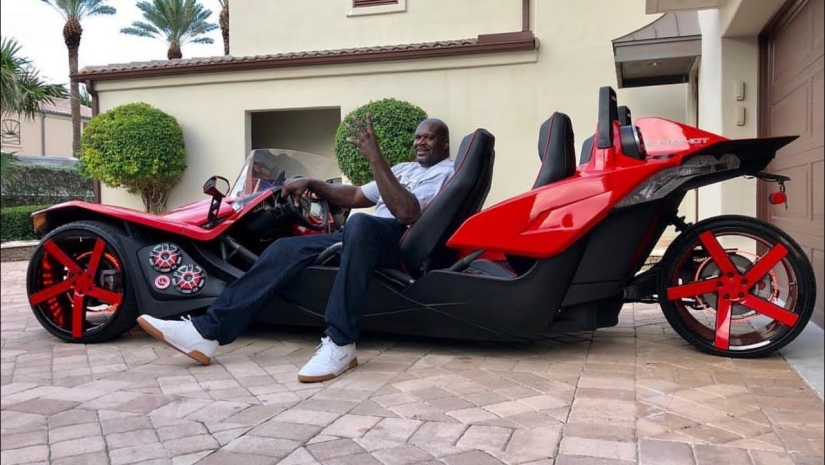 Angelina's Daggers y 8 estrellas de hobby más raras y geniales