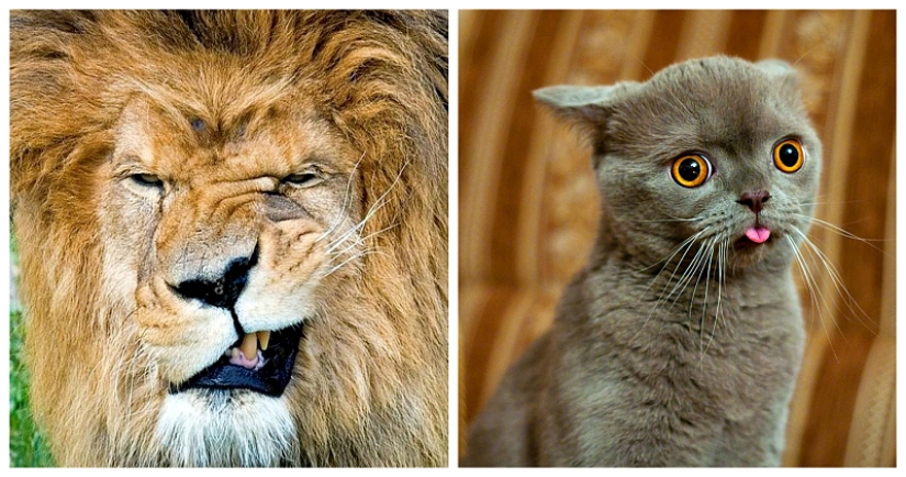 Animals that were not ready for a photo shoot Animals that were not ready for a photo shoot