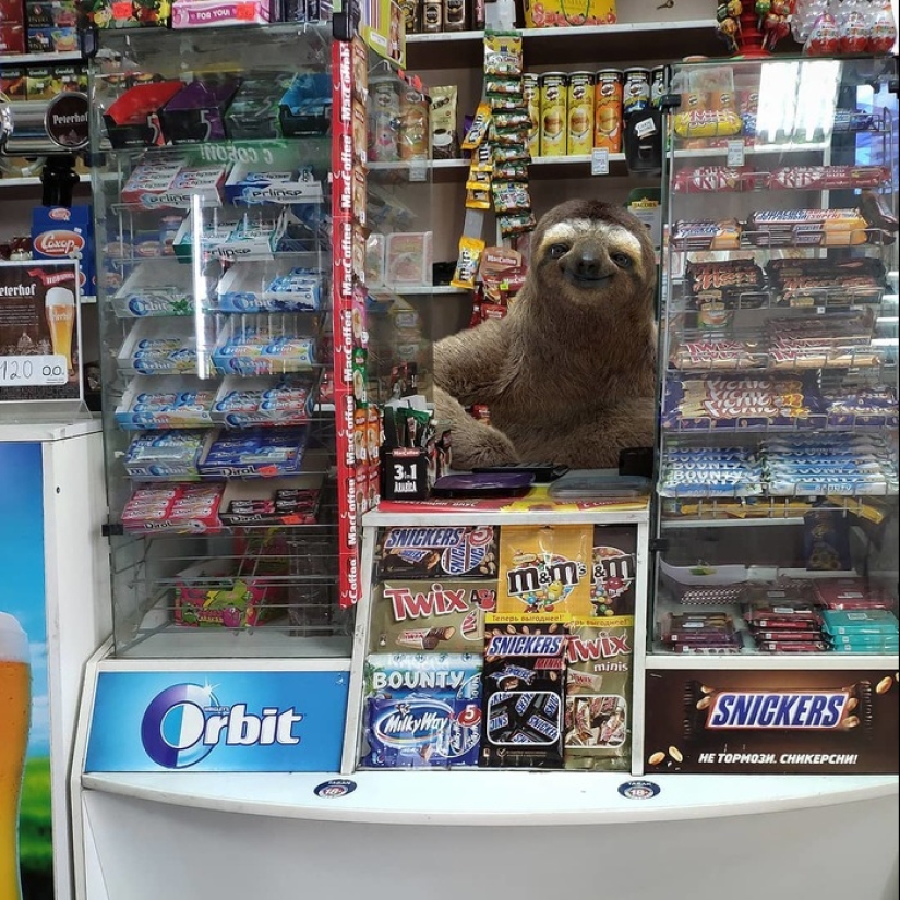 Another Peter: the artist populated the city with unusual inhabitants