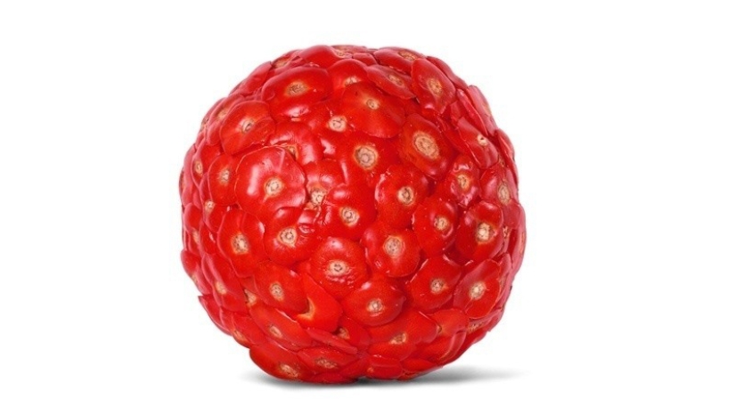 Antiglamorous food photos by Nir Adar