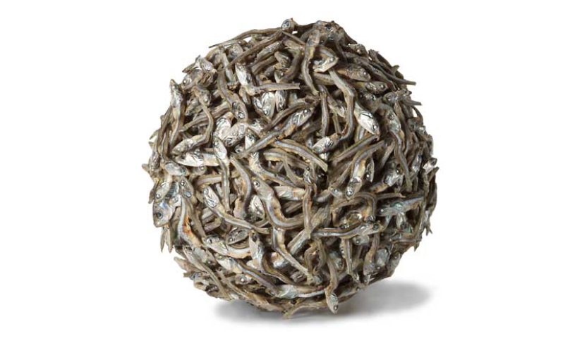 Antiglamorous food photos by Nir Adar