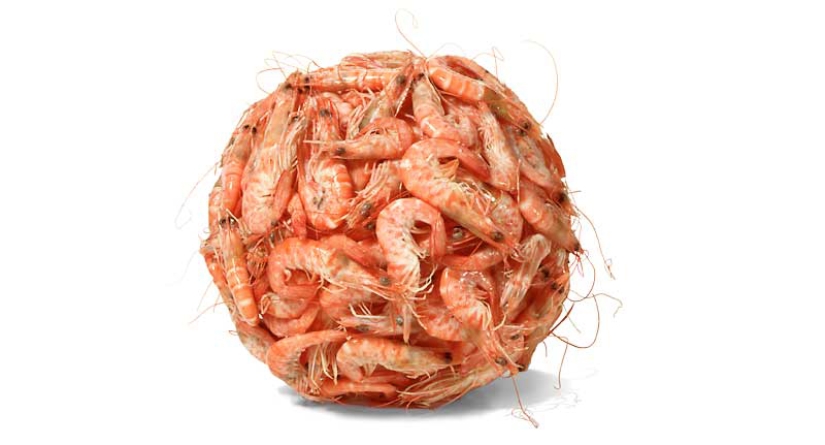 Antiglamorous food photos by Nir Adar