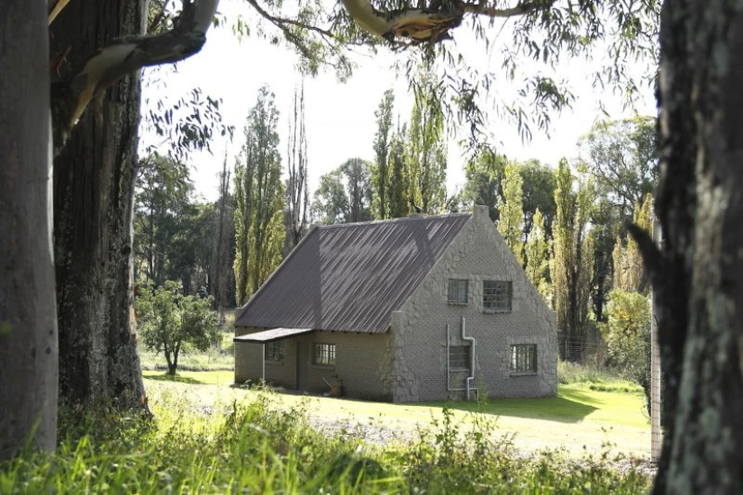 Apartments are not for the faint of heart: a cottage next to the lions is for rent