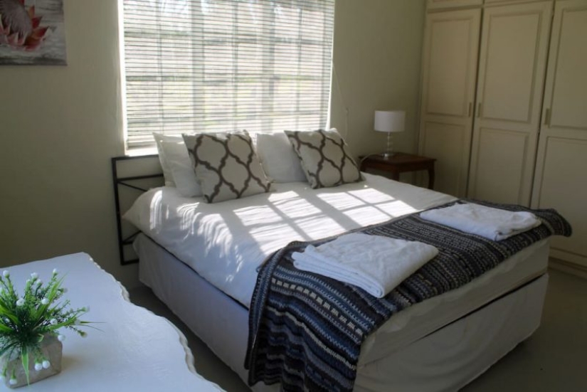 Apartments are not for the faint of heart: a cottage next to the lions is for rent