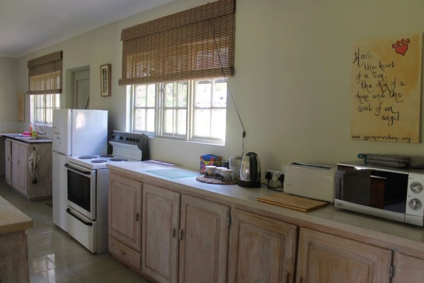 Apartments are not for the faint of heart: a cottage next to the lions is for rent