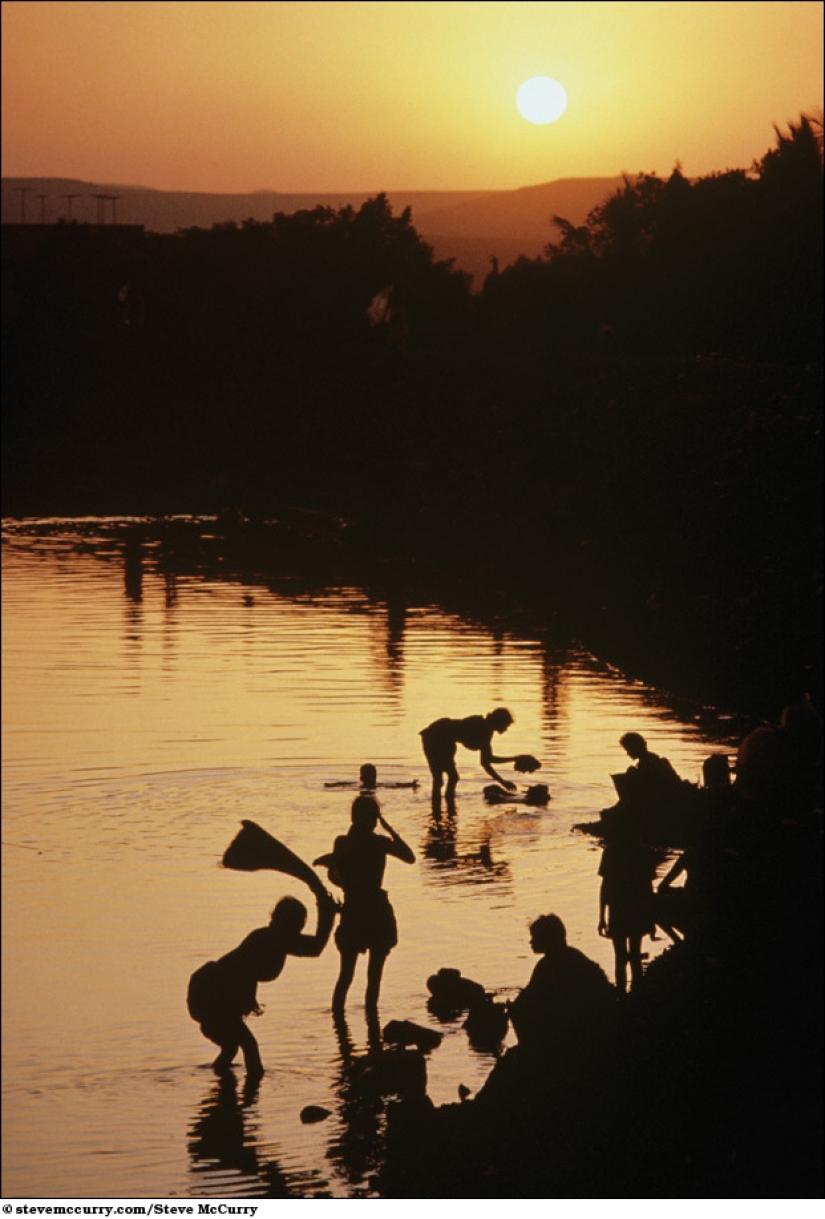 Aquatic series by Steve McCurry